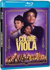 Colore Viola (Il) (2023)