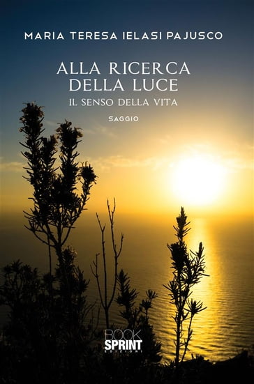 Alla ricerca della luce - Il senso della vita - Maria Teresa Ielasi Pajusco  - eBook - Mondadori Store
