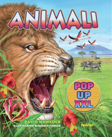 Animali pop up XXL. Ediz. a colori - David Hawcock - Libro - Mondadori Store