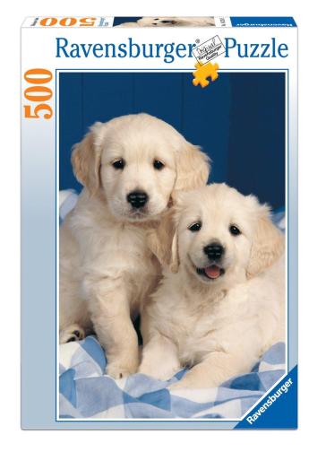 Cuccioli di Golden Retriever - - idee regalo - Mondadori Store