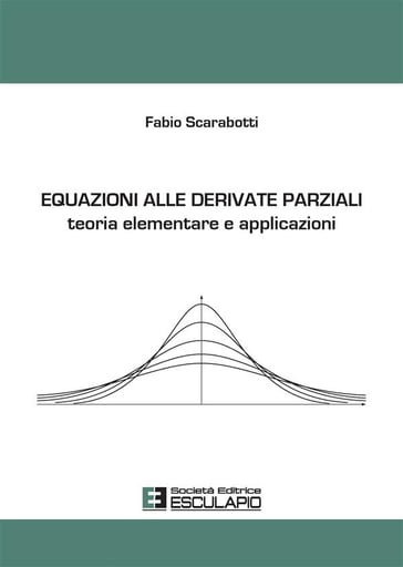 Equazioni alle derivate parziali. Teoria elementare e applicazioni - Fabio Scarabotti