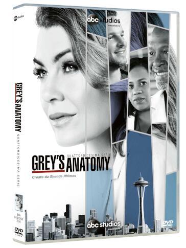 Grey's Anatomy - Stagione 14 (6 Dvd) - - Mondadori Store