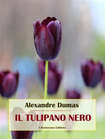 Il tulipano nero - Alexandre Dumas - eBook - Mondadori Store