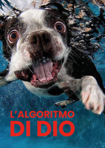 L'algoritmo di Dio