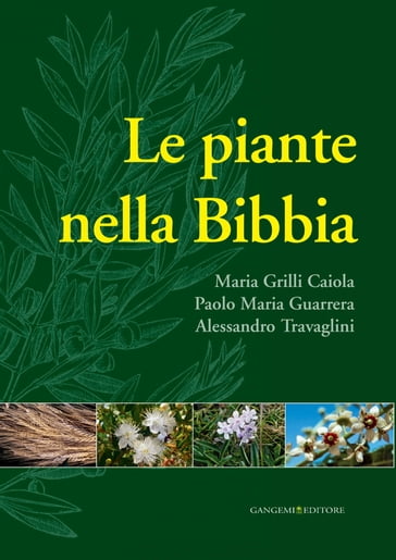 Le piante nella Bibbia - Maria Grilli Caiola, Paolo Maria Guarrera,  Alessandro Travaglini - eBook - Mondadori Store