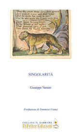 Singolarità