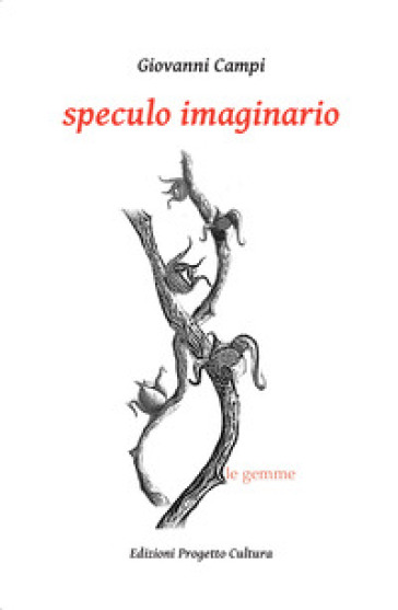 Speculo imaginario