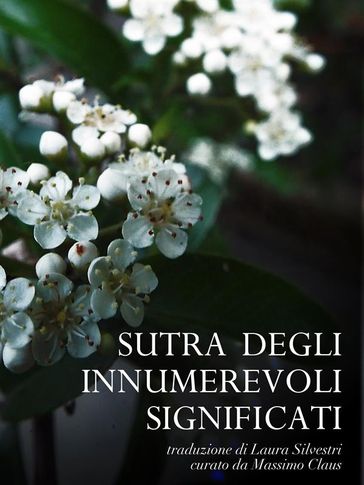 Sutra degli Innumerevoli Significati - Massimo Claus - Laura Silvestri