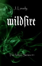 Wildfire- the velux series #1