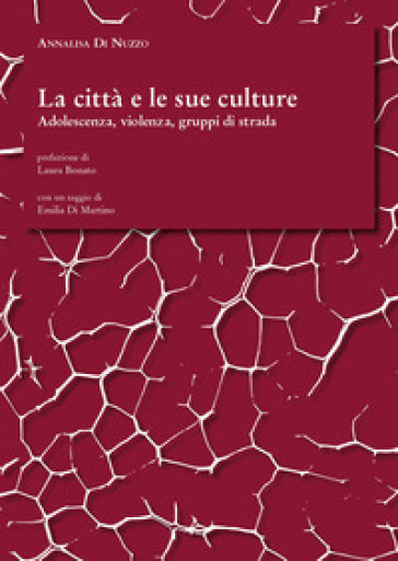 La città e le sue culture. Adolescenza, violenza, gruppi di strada