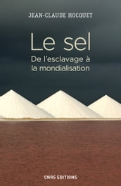 Le sel. De l esclavage à la mondialisation